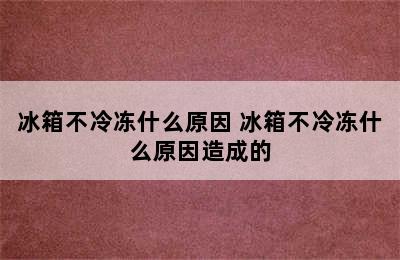 冰箱不冷冻什么原因 冰箱不冷冻什么原因造成的